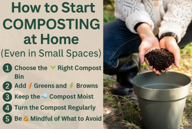 home composting tips