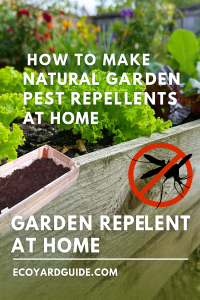 natural pest control for garden-pin