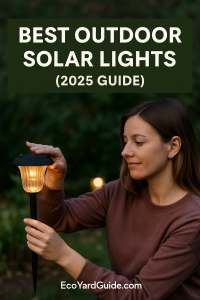 best outdoor solar lights-pin