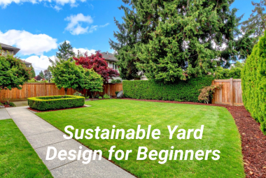 Sustainable Yard Design for Beginners