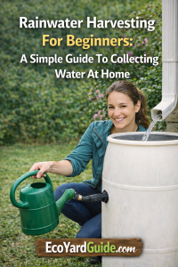 rainwater harvesting for home-pin