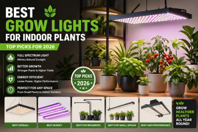 best grow lights for indoor plants