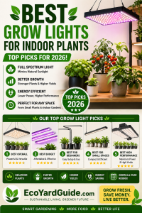 best grow lights for indoor plants-pin