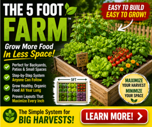 The 5 Foot Farm